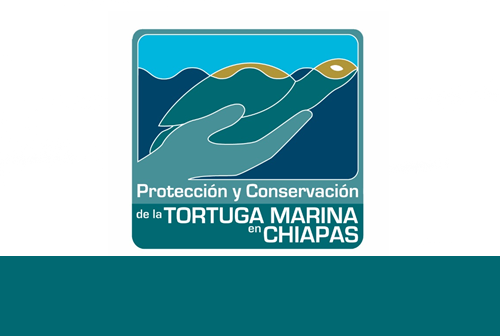 Logo del Proyecto de “Protección y Conservación de la Tortuga Marina en Chiapas”.