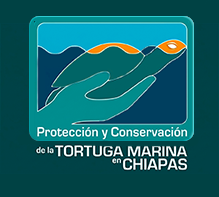 PROYECTO PROTECCIÓN Y CONSERVACIÓN DE LA TORTUGA MARINA EN CHIAPAS