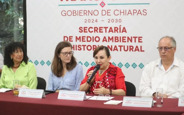  Construyendo un Futuro Resiliente: 2ª Sesión de la Mesa Estatal de NNA Resilientes al Cambio Climático