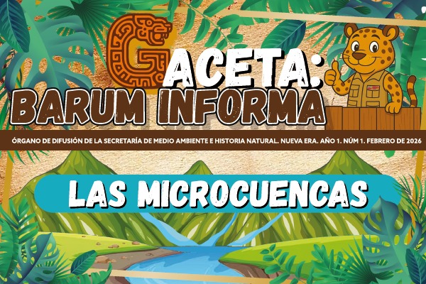 GACETA: BARUM INFORMA