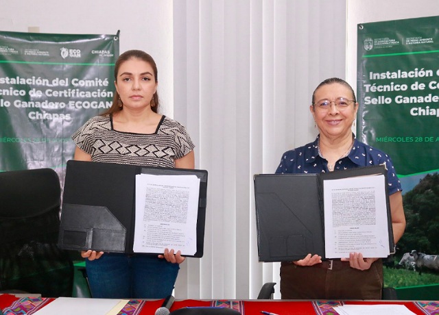 Instalan Semahn y SAGyP el Comité Técnico de Certificación Sello Ganadero ECOGAN Chiapas