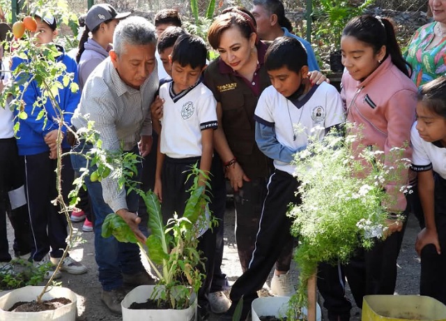 ¡Cosechando nuestros propios alimentos!