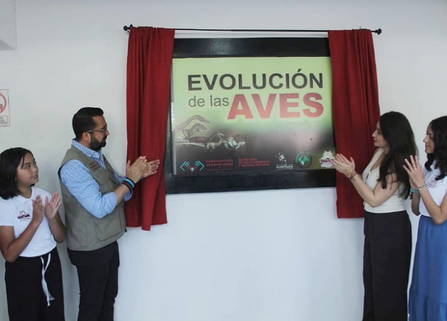 Explorando la evolución de las aves a través de la educación ambiental