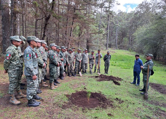 Impulsa Semahn restauración forestal en Chiapas