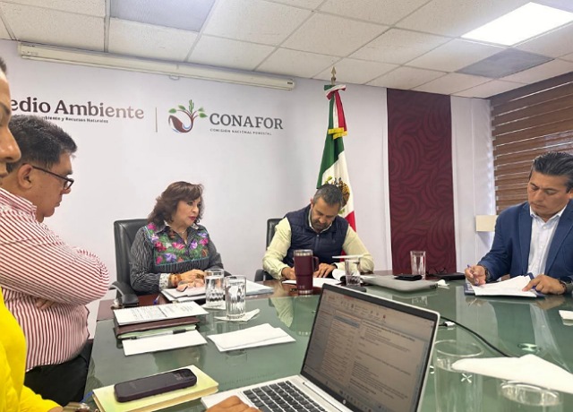 Unidos por los bosques de Chiapas 