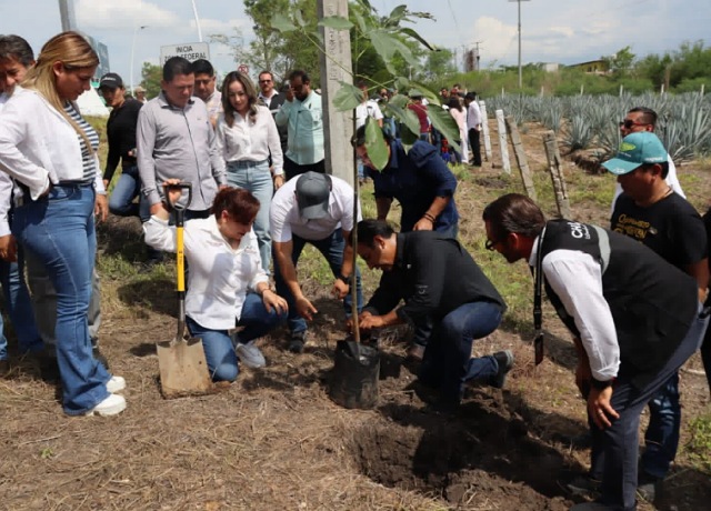 Sembramos futuro: Inicia reforestación con especies nativas para embellecer más a Chiapas"