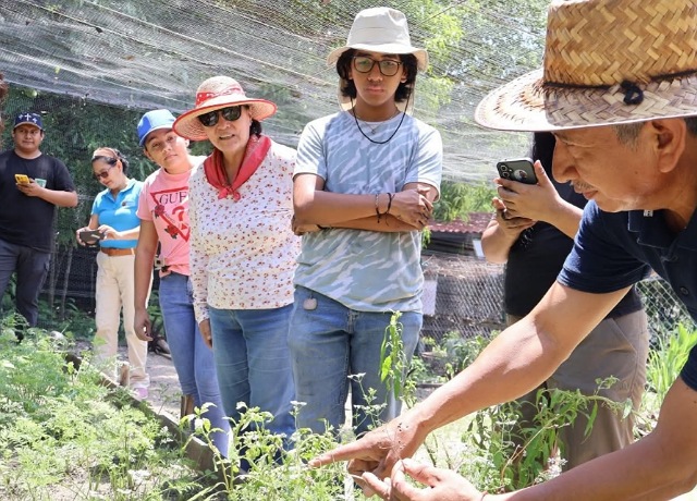 ¡Sembramos conciencia ambiental en nuestro taller de huerto urbano!