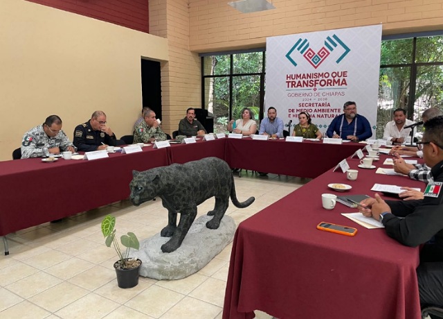 Atención, Chiapas  Hoy reafirmamos nuestro compromiso con los bosques y selvas que dan vida a nuestro estado. 