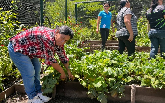 ¡Mujeres Cultivando Emociones en el Huerto!