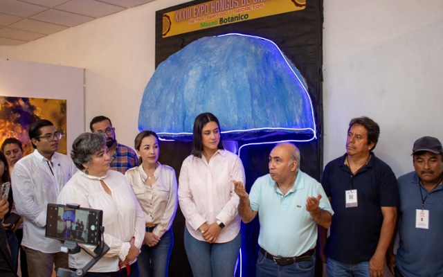 XXXIII Expo Hongos
