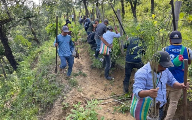 RESULTADOS que devuelven vida a la tierra