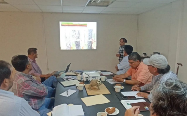 5ª Sesión Extraordinaria del Comité de Manejo Forestal