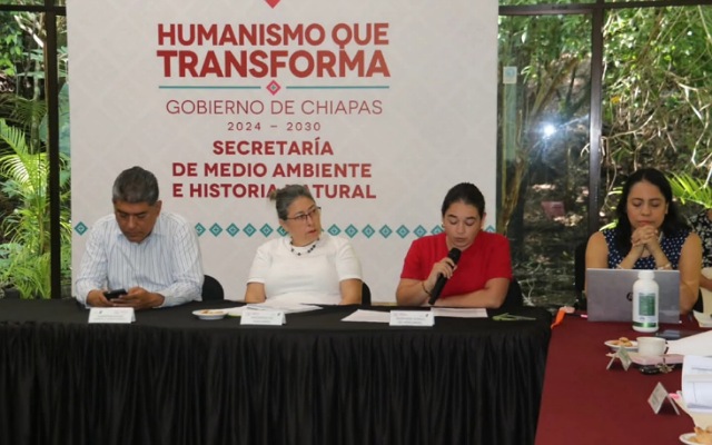  Décima Primera Sesión Extraordinaria del FESA