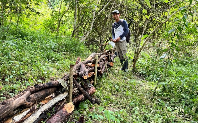 Trabajos de acomodo de material vegetal muerto en el Ejido Ricardo Flores Magón
