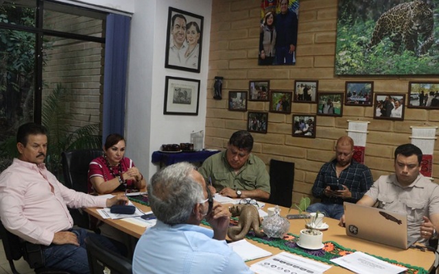 Reunión virtual de trabajo con CONAFOR Nacional y la SEMARNAT, 