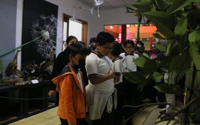 Humedales de Chiapas, ecosistemas que dan vida