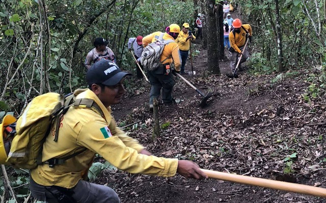 Prevención de incendios forestales en el ANPE "El Mirador"