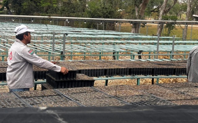Hay decisiones que no se anuncian… se siembran.