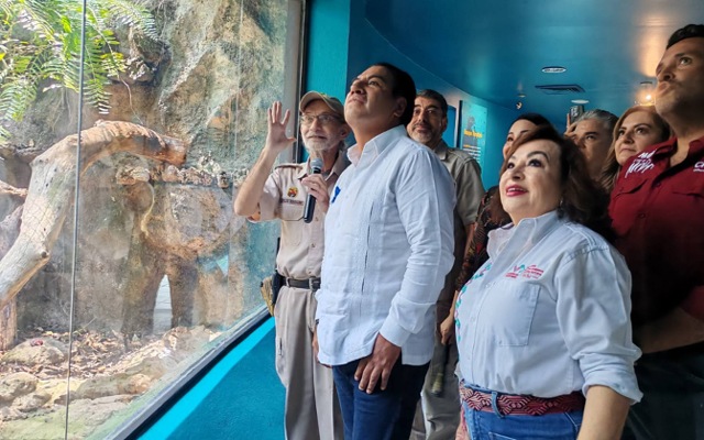 Nuevo comienzo, nueva historia.