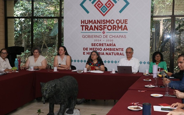 Involucrar a las juventudes en la acción climática es sembrar un futuro más resiliente