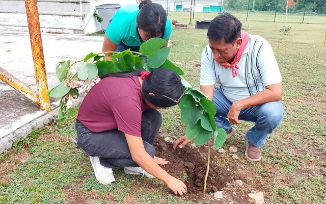 El planeta también juega: reforestar es cuidar nuestro futuro