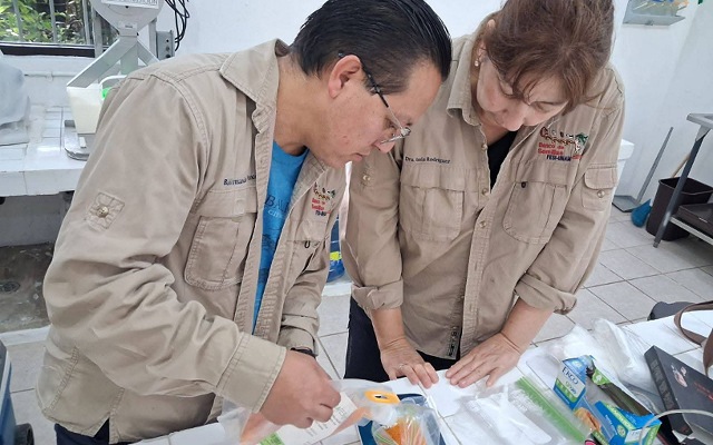 Investigan el genoma del Guanacastle en Chiapas