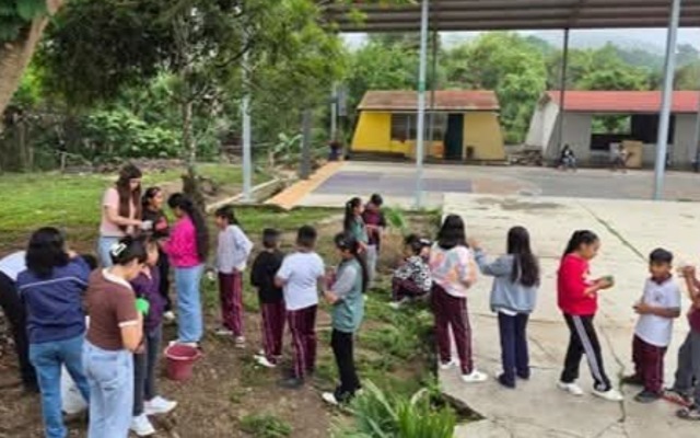 Taller Infantil de Reforestación