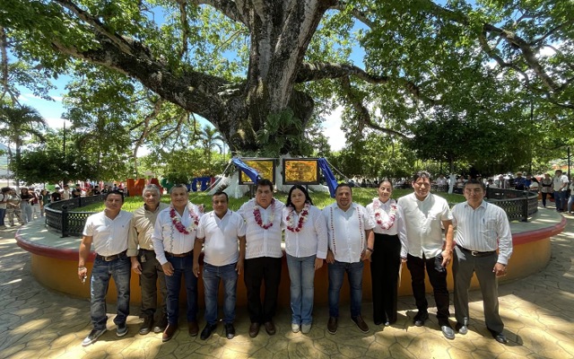 Huitiupán reconoce a su ceibo como patrimonio biocultural
