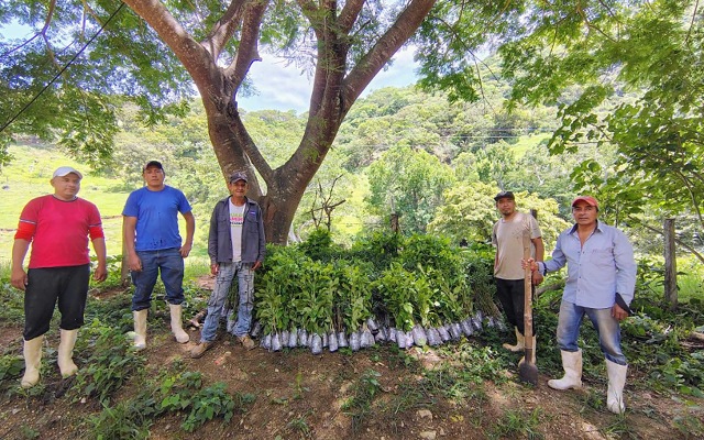 ¡Comprometidos con el futuro verde de Chiapas!