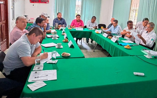Comité de Manejo Forestal fortalece la evaluación técnica de proyectos en Chiapas