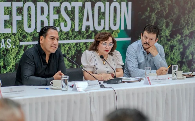 Chiapas reforesta.