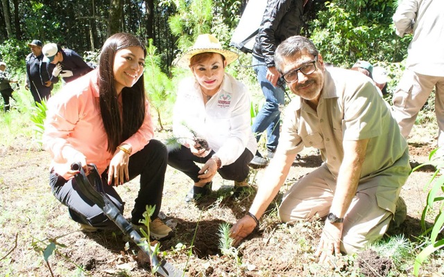 Hoy plantamos mañana.