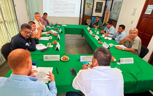Cuarta Sesión Extraordinaria del Comité de Manejo Forestal