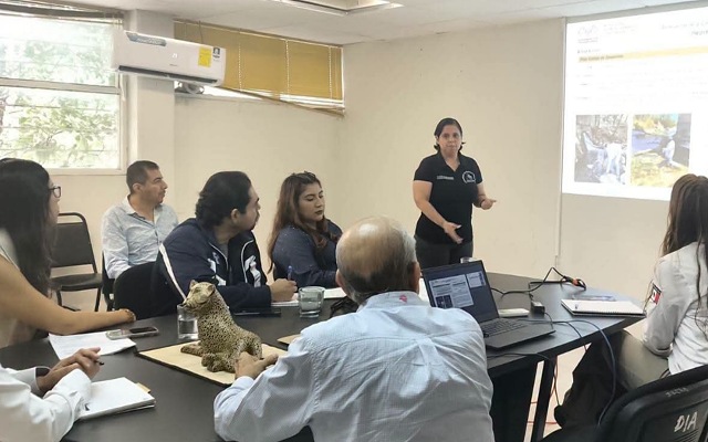 SEMAHN fortalece la coordinación interinstitucional para impulsar proyectos de protección ambiental y desarrollo de energías en Chiapas
